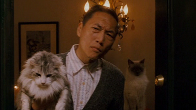 Enchanted - man with long haired cat and Siamese cat in apartment