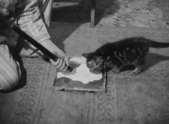 The End of the Road - Barney David Hannaford shooting milk into pan for tabby kitten