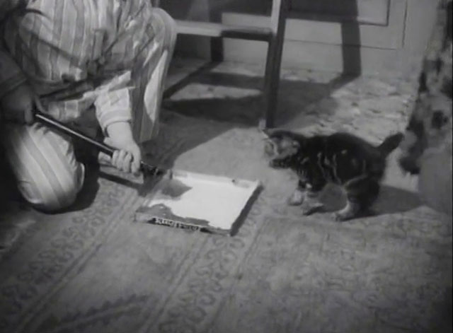 The End of the Road - tabby kitten backing away from pan of milk