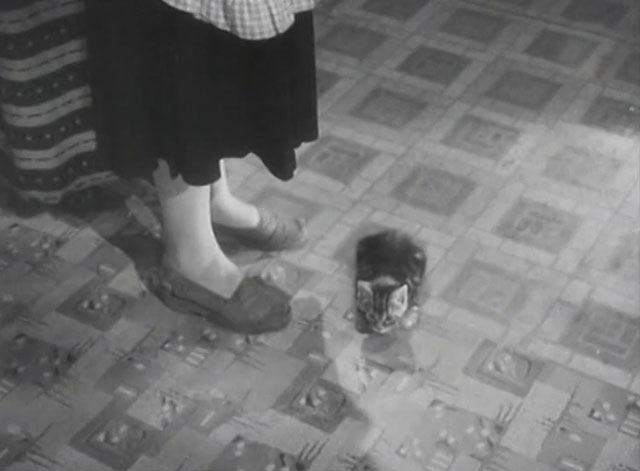 The End of the Road - tabby kitten on kitchen floor at Molly's feet