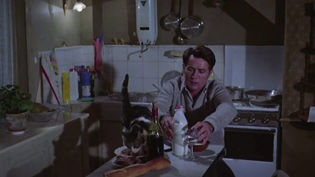 Enigma - Alex Holbeck Martin Sheen with tabby tortoiseshell and white cat Josh on table eating