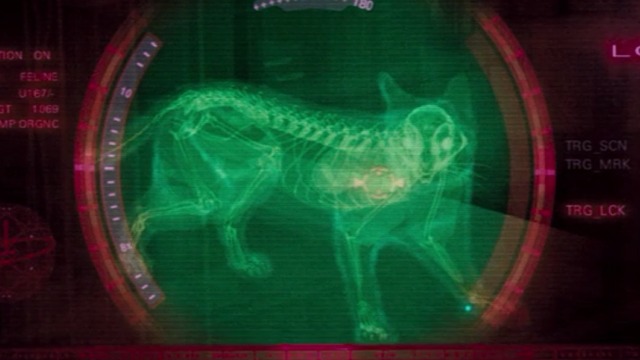 Eraser - X-ray view of cat in warehouse