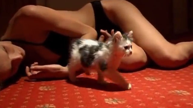 Eva - Herzigova with calico kitten in corridor