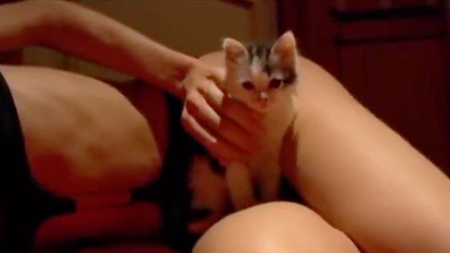 Eva - calico kitten on woman's legs