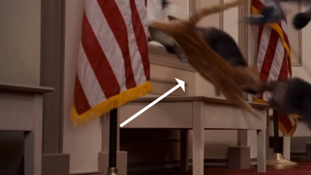 Evan Almighty - orange tabby cat jumping in through Congressional window