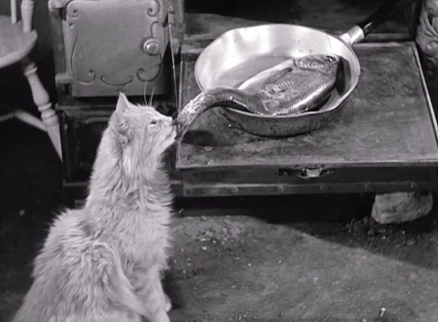Even As IOU - longhair tabby cat biting at fish in pan