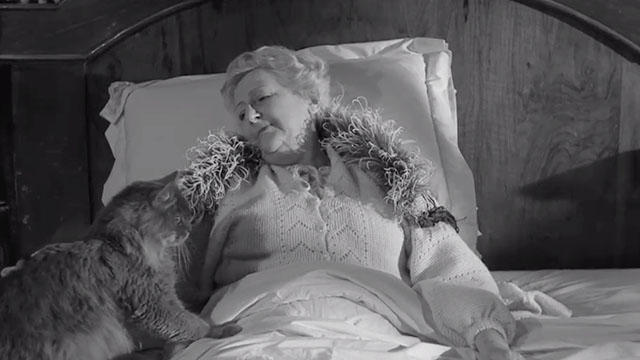 Evil Eye - longhair gray cat on bed of Aunt Ethel Chana Coubert