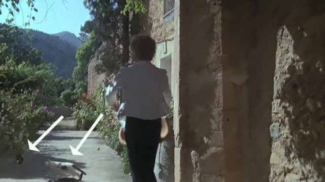 Evil Under the Sun - cats running away from Daphne Castle Maggie Smith outside hotel