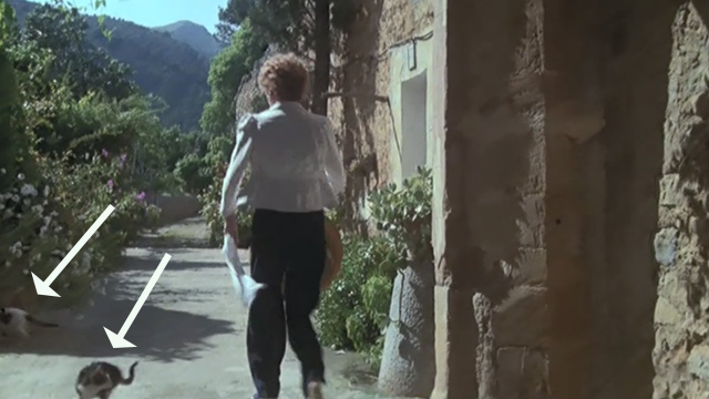 Evil Under the Sun - cats running away from Daphne Castle Maggie Smith outside hotel