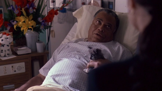 Excessive Force - tabby kitten held by Jake James Earl Jones in hospital bed
