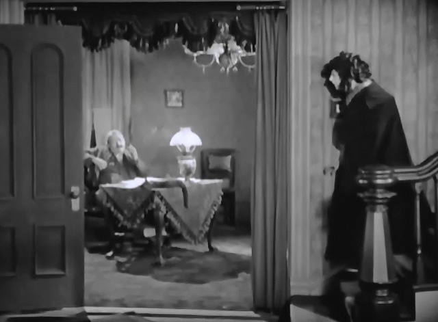 The Extra Girl - dark tortoiseshell cat laying on table long shot