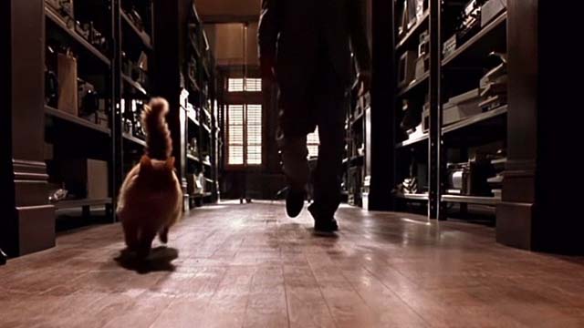 Eye of the Beholder - orange long haired cat running in front of Stephen Ewan McGregor