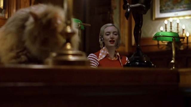 Eye of the Beholder - blurry orange long haired cat on top of console