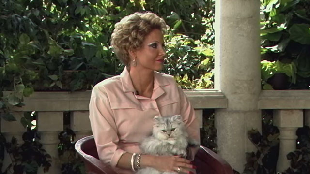 The Eyes of Tammy Faye - Jessica Chastain holding longhair silver Chinchilla Persian cat on her lap