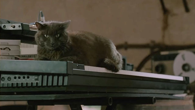 Face the Music - large gray cat Thelonious Gros Minet sitting on electronic keyboard