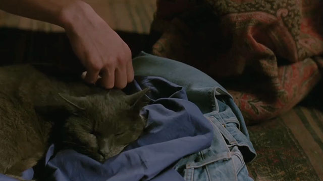 Face the Music - large gray cat Thelonious Gros Minet sleeping on floor