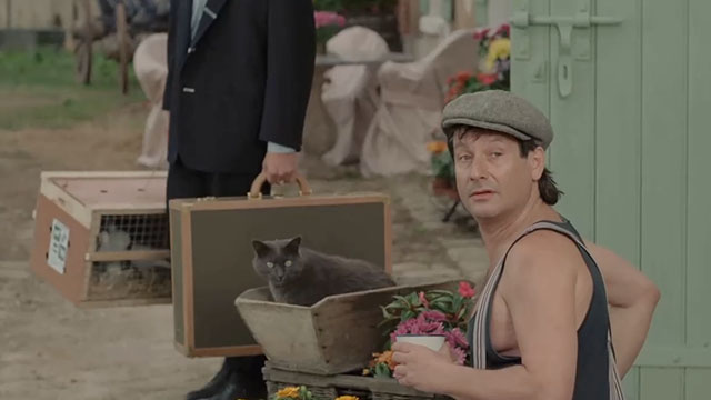 Face the Music - Tom with large gray cat Thelonious Gros Minet sitting in flower box