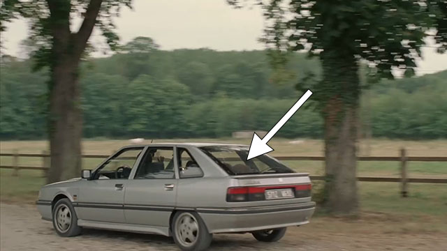 Face the Music - large gray cat Thelonious Gros Minet sitting in back window of car driving away