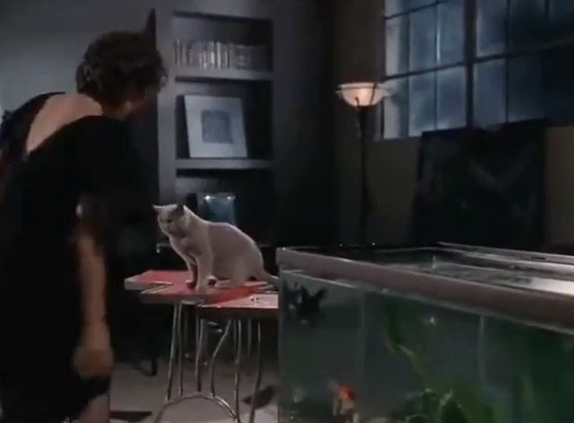 The Face of Fear - blue cat Pooh on table with Edna Donna Theodore