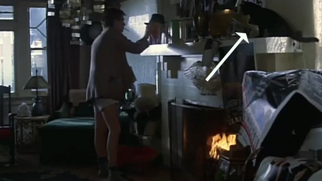 Fade to Black - cat sitting on fireplace mantel and Eric Dennis Christopher burns books