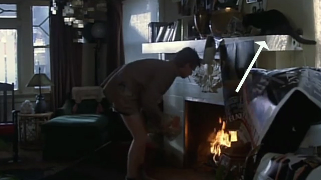 Fade to Black - cat sitting on fireplace mantel and Eric Dennis Christopher burns books