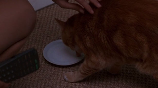 Fair Game - orange tabby cat drinking milk from bowl
