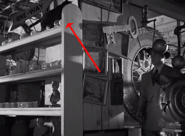 The Falcon in Hollywood - black cat on top of shelves