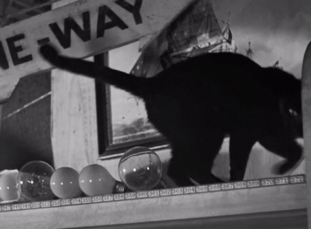 The Falcon in Hollywood - black cat on top of shelves with light bulbs