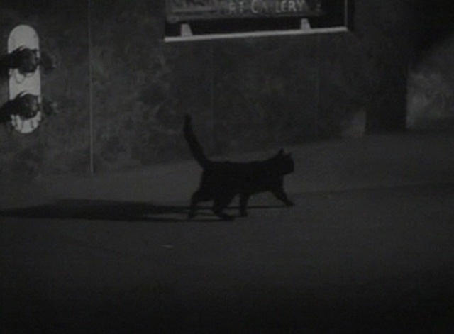 The Falcon in Mexico - black cat walking down sidewalk