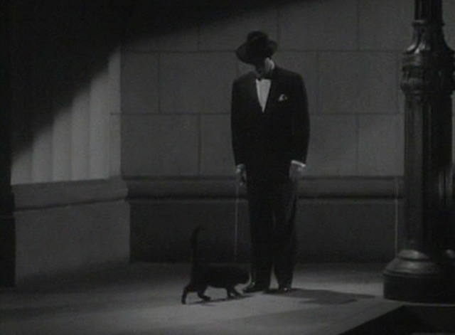 The Falcon in Mexico - black cat stopping at The Falcon's feet