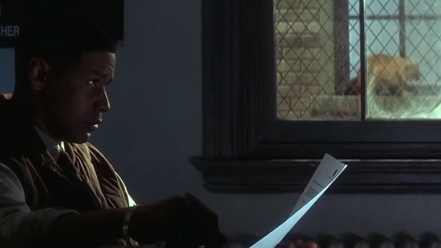 Fallen - orange tabby cat on windowsill across from John Hobbes Denzel Washington