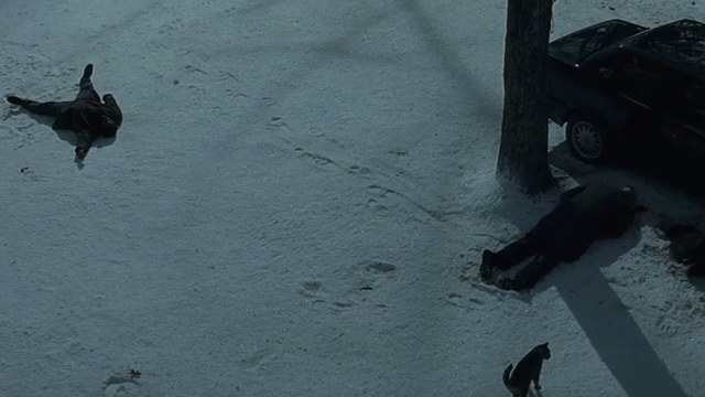 Fallen - brown tabby cat standing in snow by dead bodies