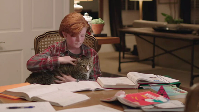 Family - boy petting tabby cat on table