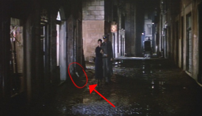 A Farewell to Arms - white cat ducking into doorway