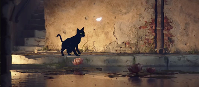 Farfalla - black cat following butterfly