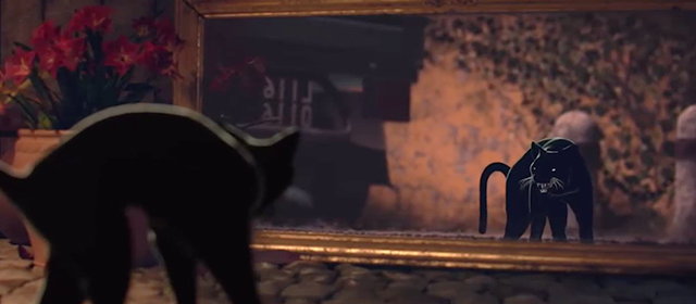 Farfalla - black cat hissing at reflection in mirror
