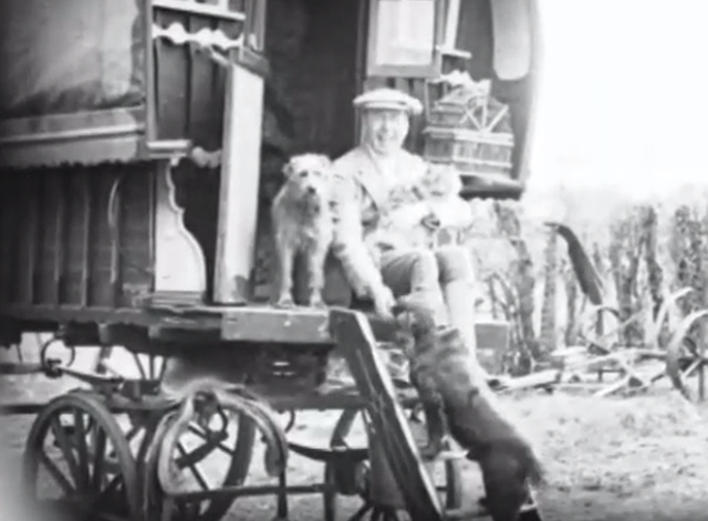 Farm Life - unknown man on gypsy caravan wagon with two dogs and longhaired cat