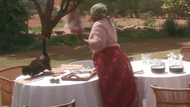 A Far Off Place - long-hair tuxedo cat darts from table as explosion makes Kabo Bertha Msora scream