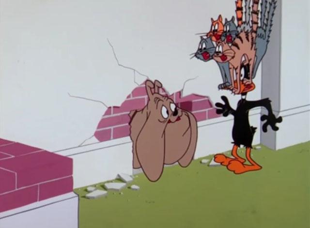 Fast Buck Duck - Daffy Duck holding mallet by wall with numerous cartoon cats on his head and Hector bulldog looking out