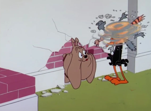 Fast Buck Duck - Daffy Duck with whirling cartoon cats around his head as Hector bulldog looks through wall