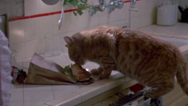 Fatal Beauty - orange tabby cat Sam on counter sniffing at sandwich