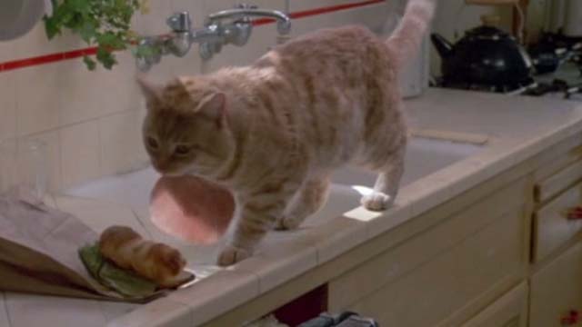 Fatal Beauty - orange tabby cat Sam with piece of ham in his mouth