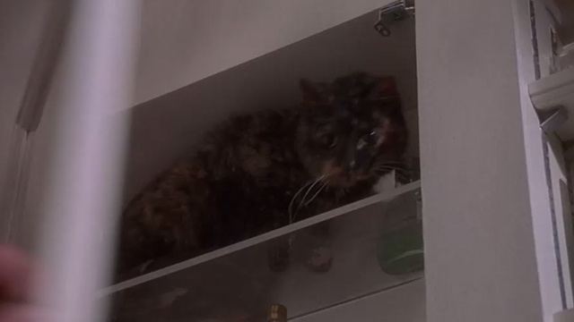 Fatal Instinct - tortoiseshell cat in medicine cabinet