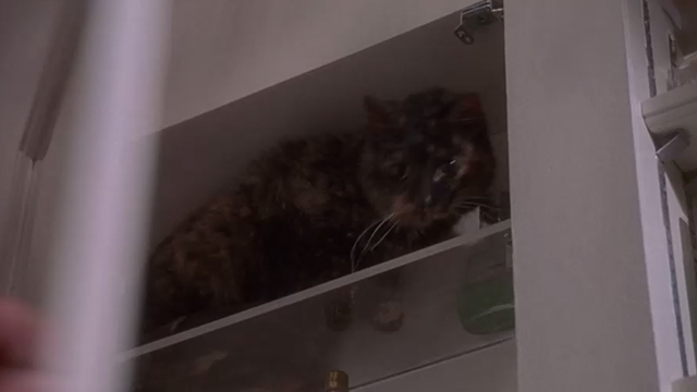 Fatal Instinct - tortoiseshell cat in medicine cabinet