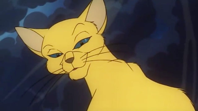 Felidae - yellow prophet cat in dream