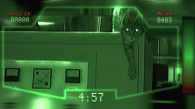 Femme Fatale - tabby cat on top of computer in night vision