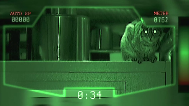 Femme Fatale - tabby cat on top of computer in night vision
