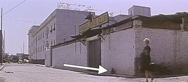 La Femme et la Pantin - The Female - A Woman Like Satan - grey cat on street with Eva Brigitte Bardot