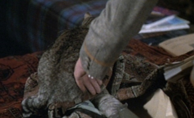 ffolkes - cat Mary in bag