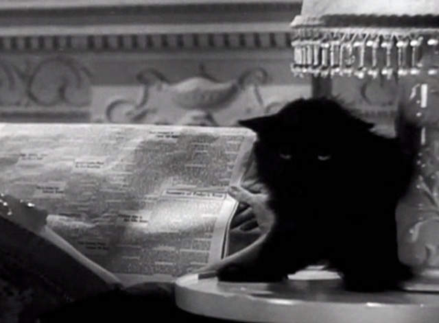 Fifth Avenue Girl - long-haired black cat sitting on end table under lamp